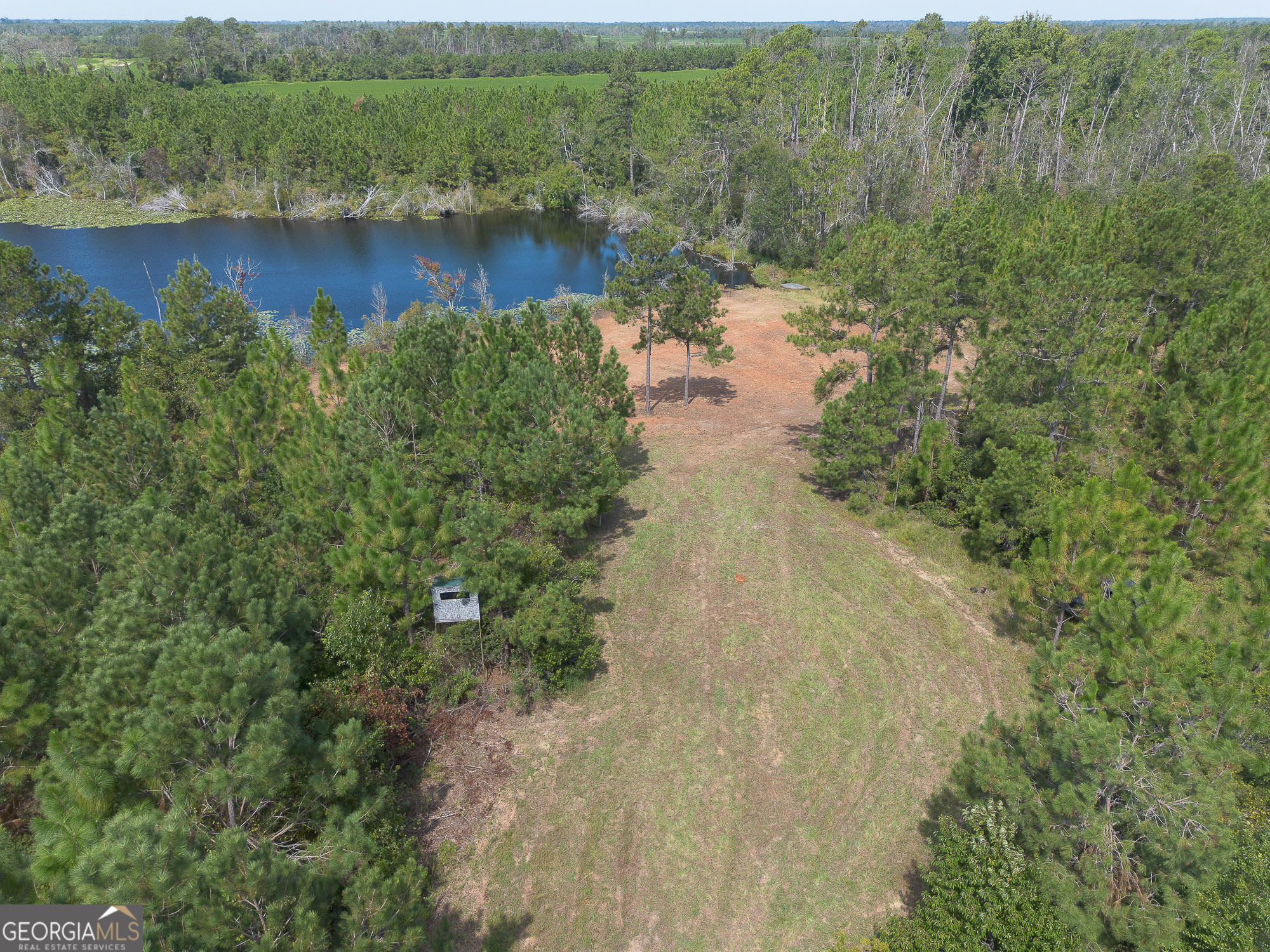 2 Rhonda Coleman Road Hazlehurst, GA 31539 - Photo 6 of 40