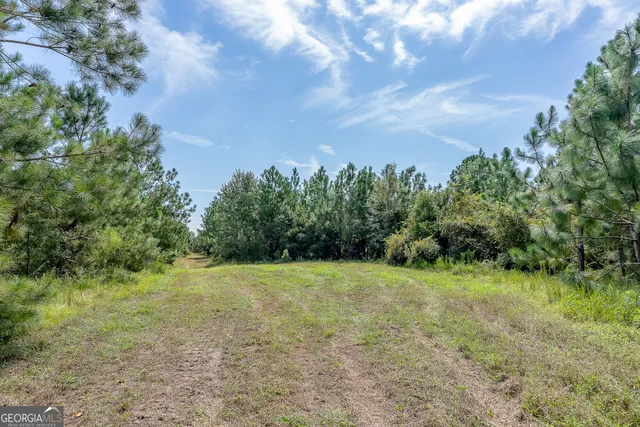 $1,107,915 | 2 Rhonda Coleman Road, Hazlehurst, GA 31539