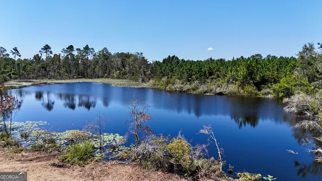 $1,107,915 | 2 Rhonda Coleman Road, Hazlehurst, GA 31539