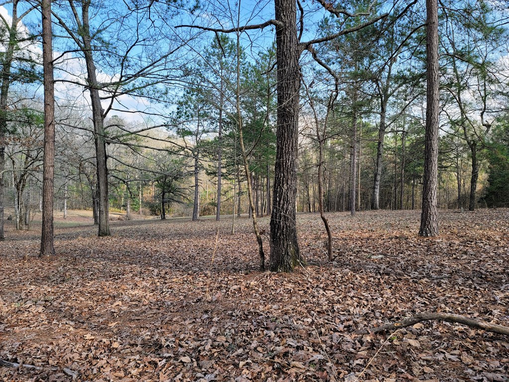 11 Copperhead Road Seale, AL 36875 - Photo 2 of 51 Gallery Image 2