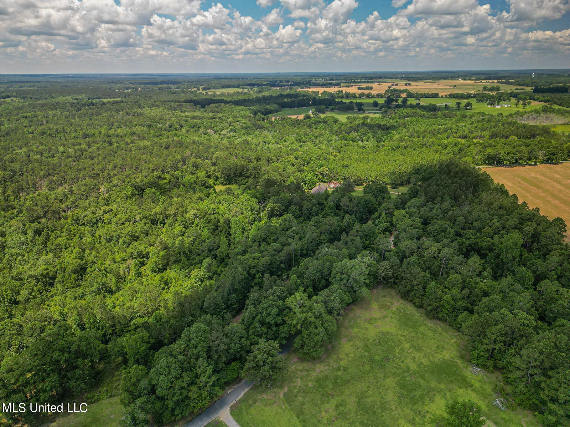243 Rawls Road Perkinston, MS 39573 - Photo 29 of 31 Rawls-38