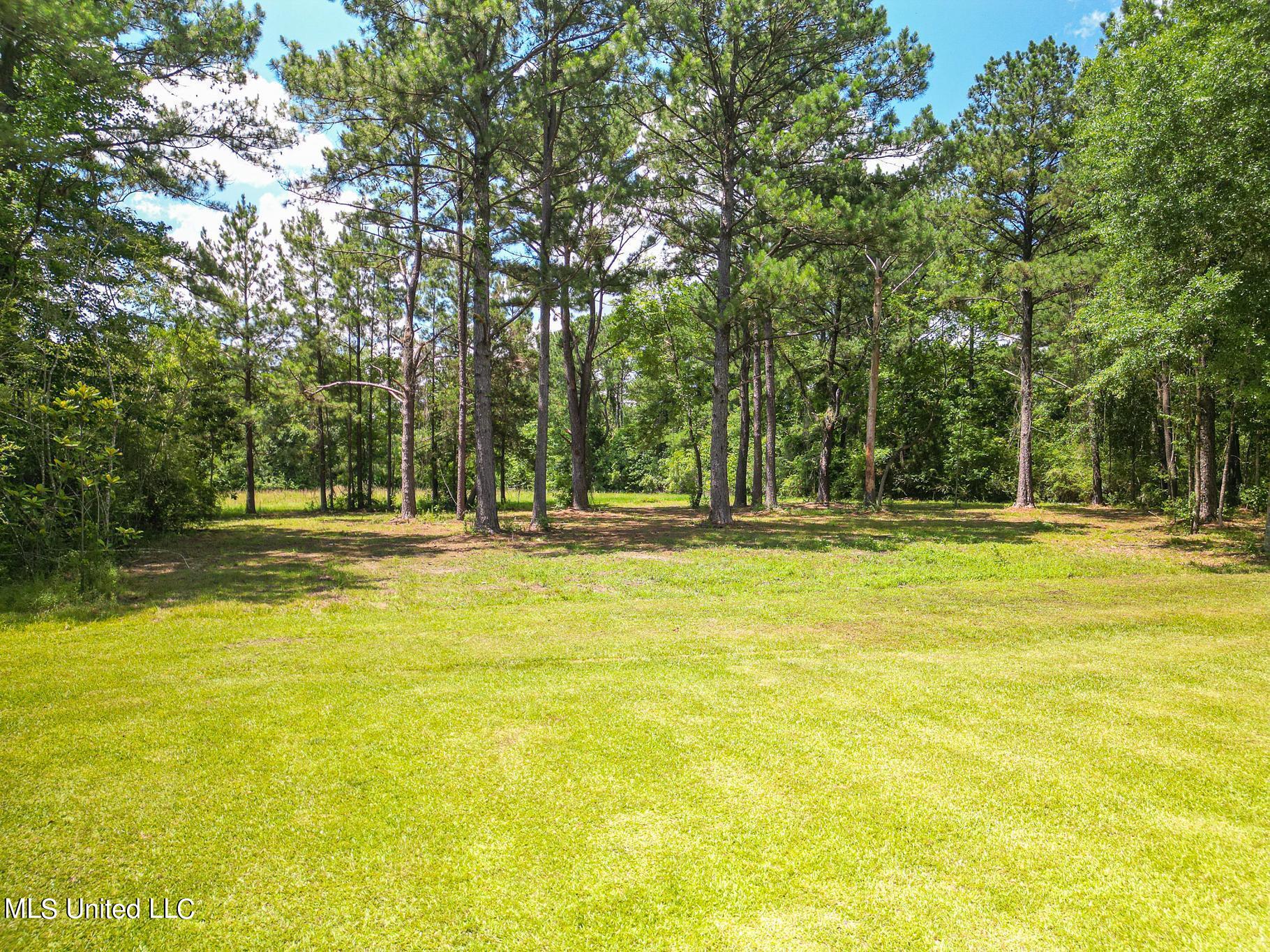 243 Rawls Road Perkinston, MS 39573 - Photo 30 of 31 Rawls-43
