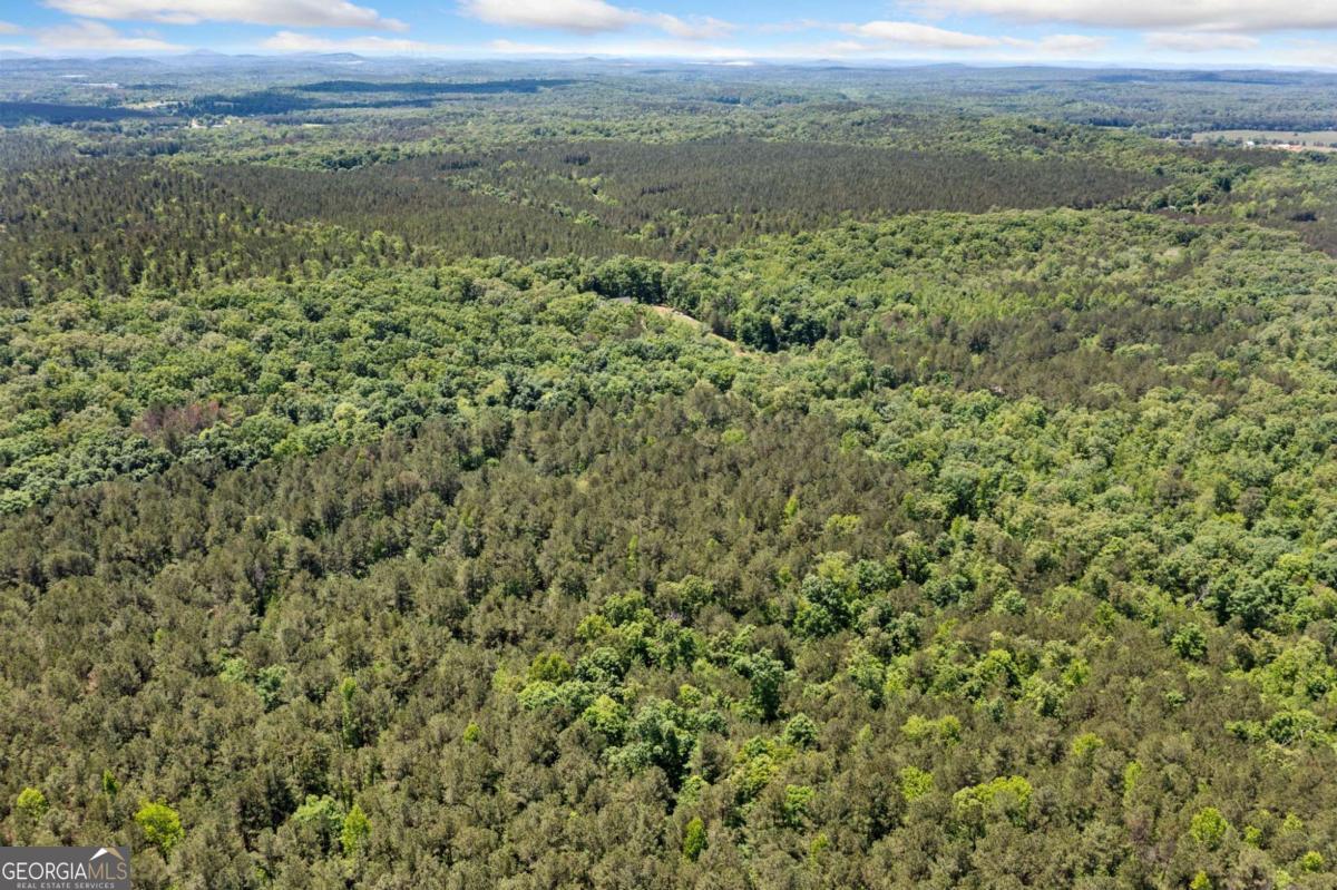 0 Timberwood Road Northwest, Unit 2 White, GA 30184 - Photo 15 of 25 a view of a field with a lush green forest