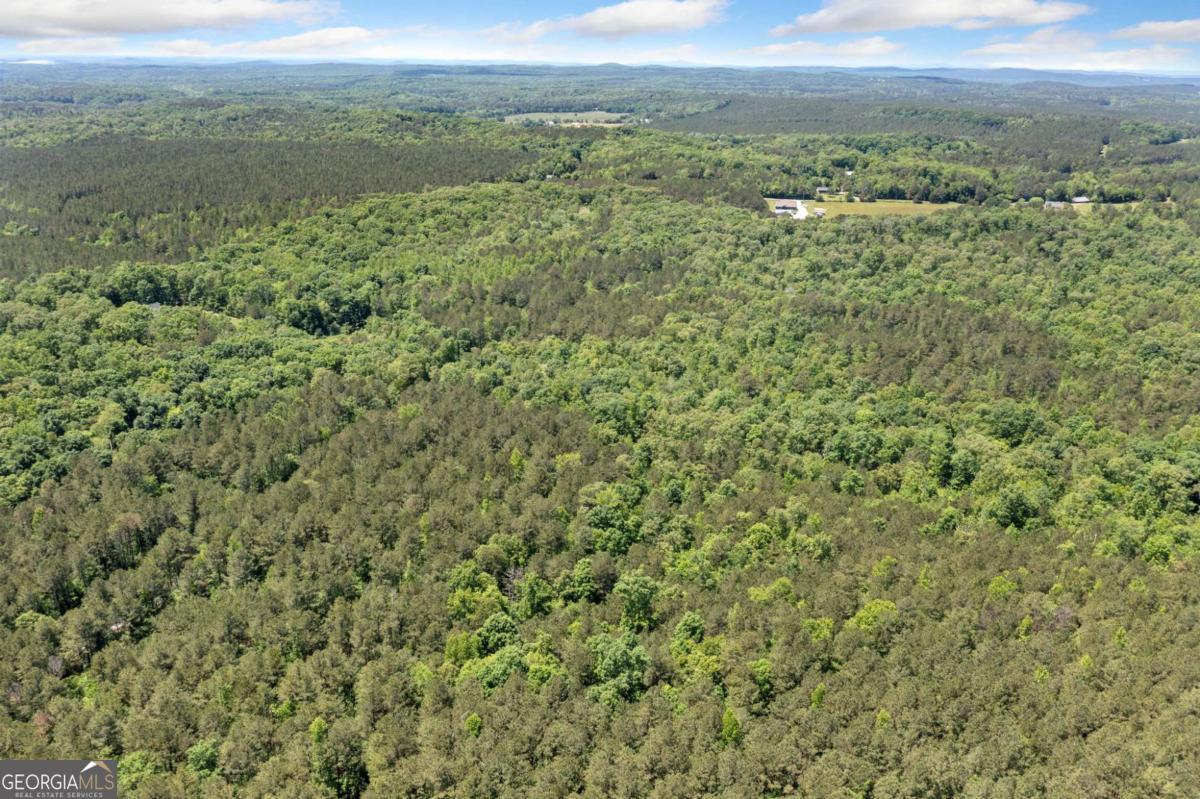0 Timberwood Road Northwest, Unit 2 White, GA 30184 - Photo 16 of 25 a view of a green field with lots of bushes