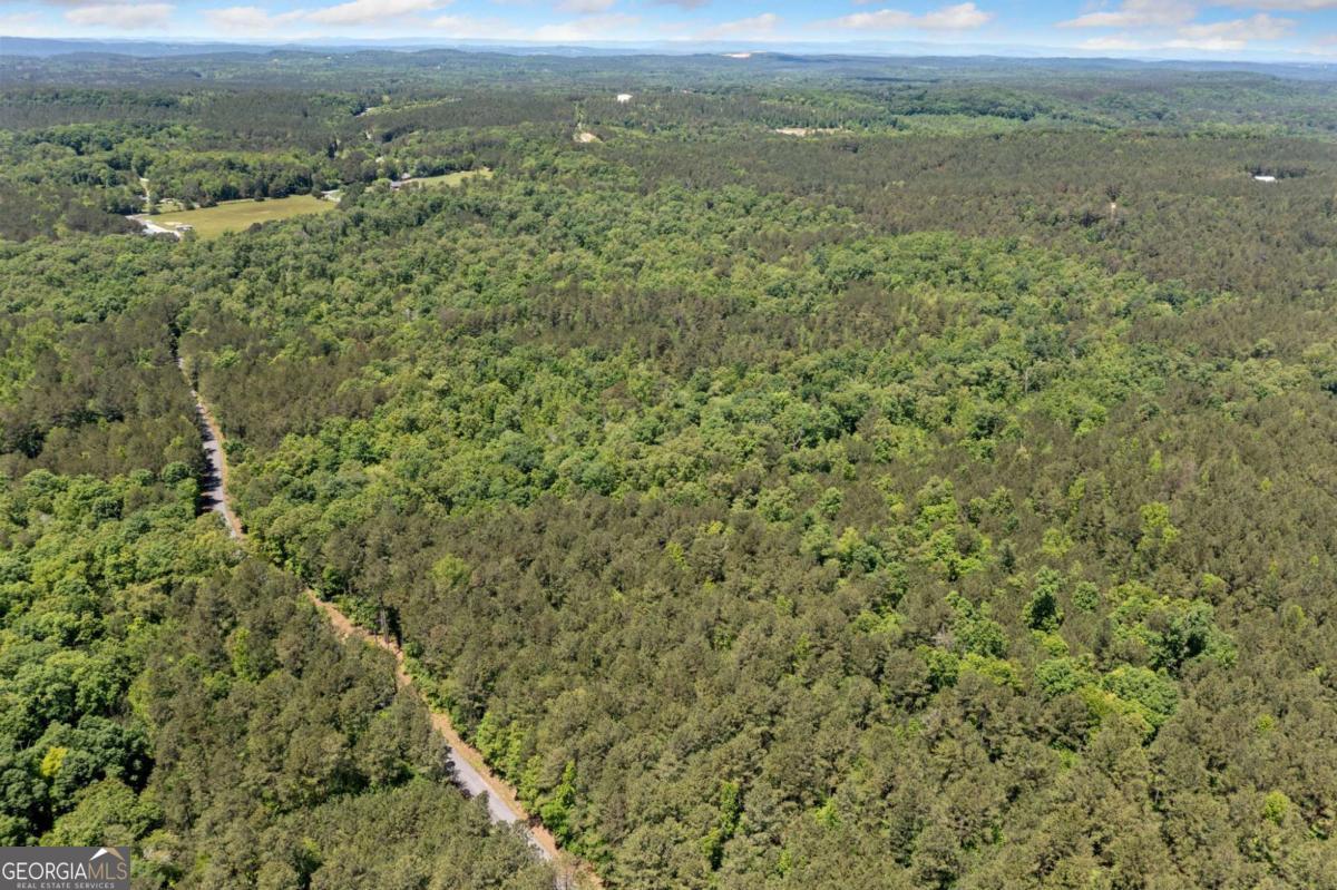 0 Timberwood Road Northwest, Unit 2 White, GA 30184 - Photo 20 of 25 a view of a field with trees in the background