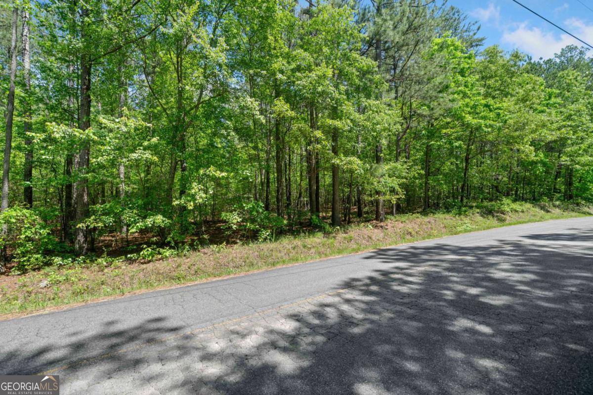 0 Timberwood Road Northwest, Unit 2 White, GA 30184 - Photo 2 of 25 a view of a yard with plants and trees