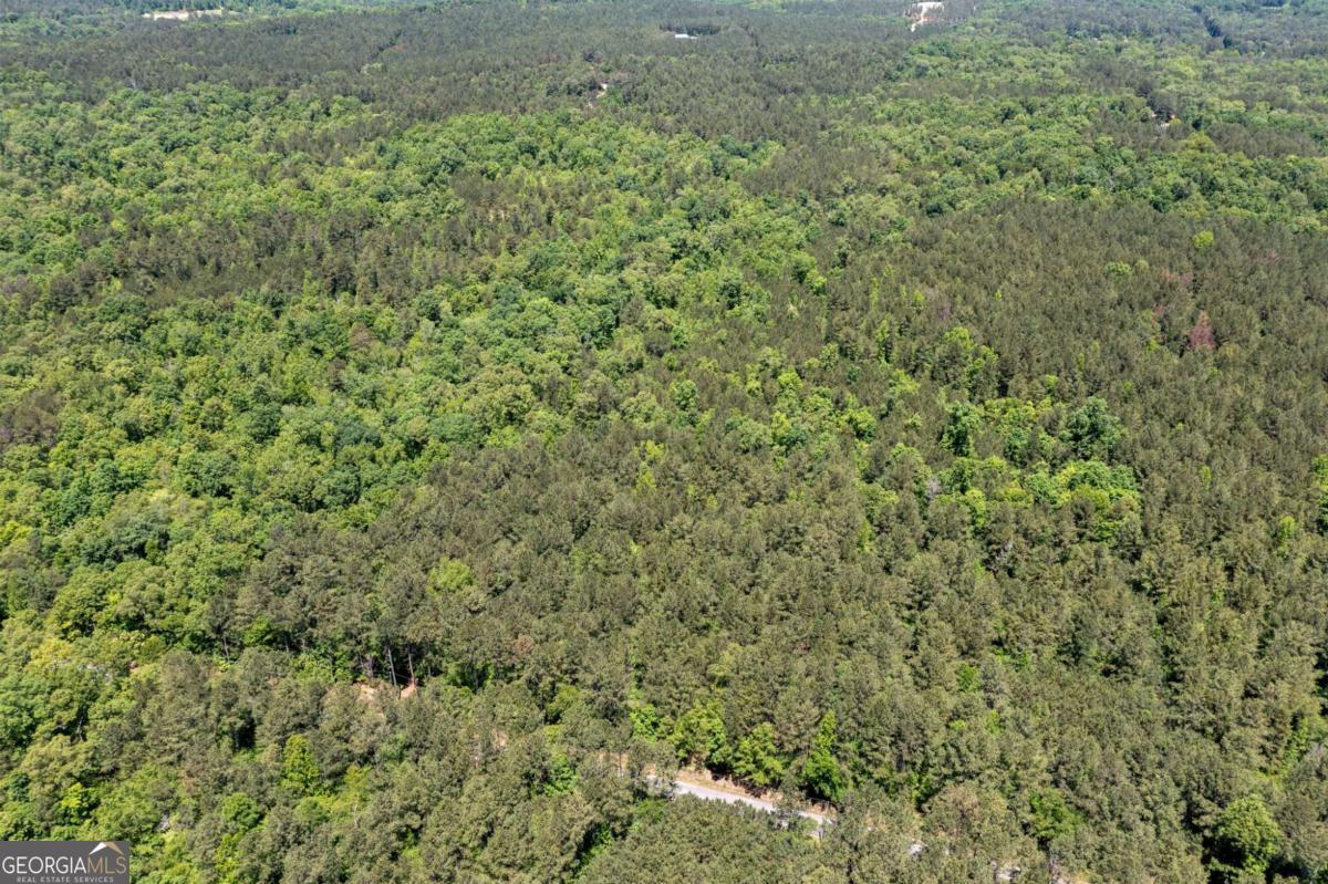 0 Timberwood Road Northwest, Unit 2 White, GA 30184 - Photo 21 of 25 a view of a green field