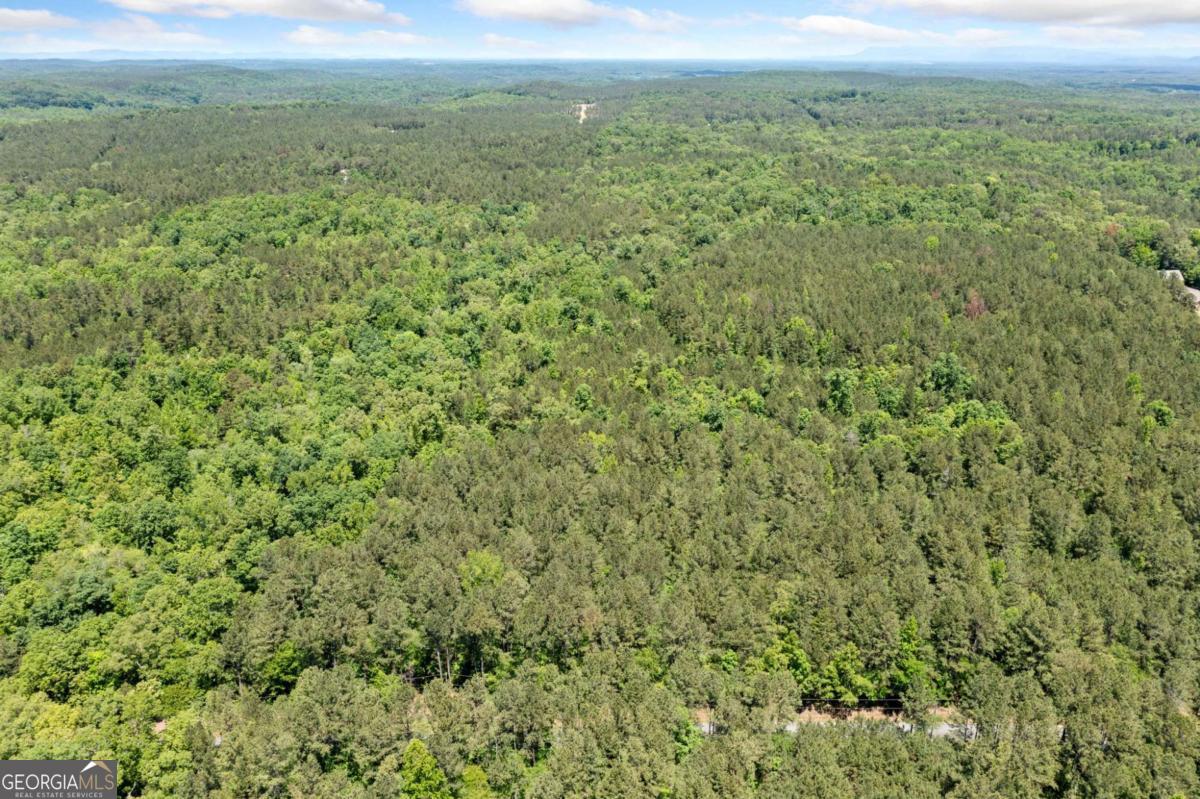 0 Timberwood Road Northwest, Unit 2 White, GA 30184 - Photo 22 of 25 a view of a field with an trees