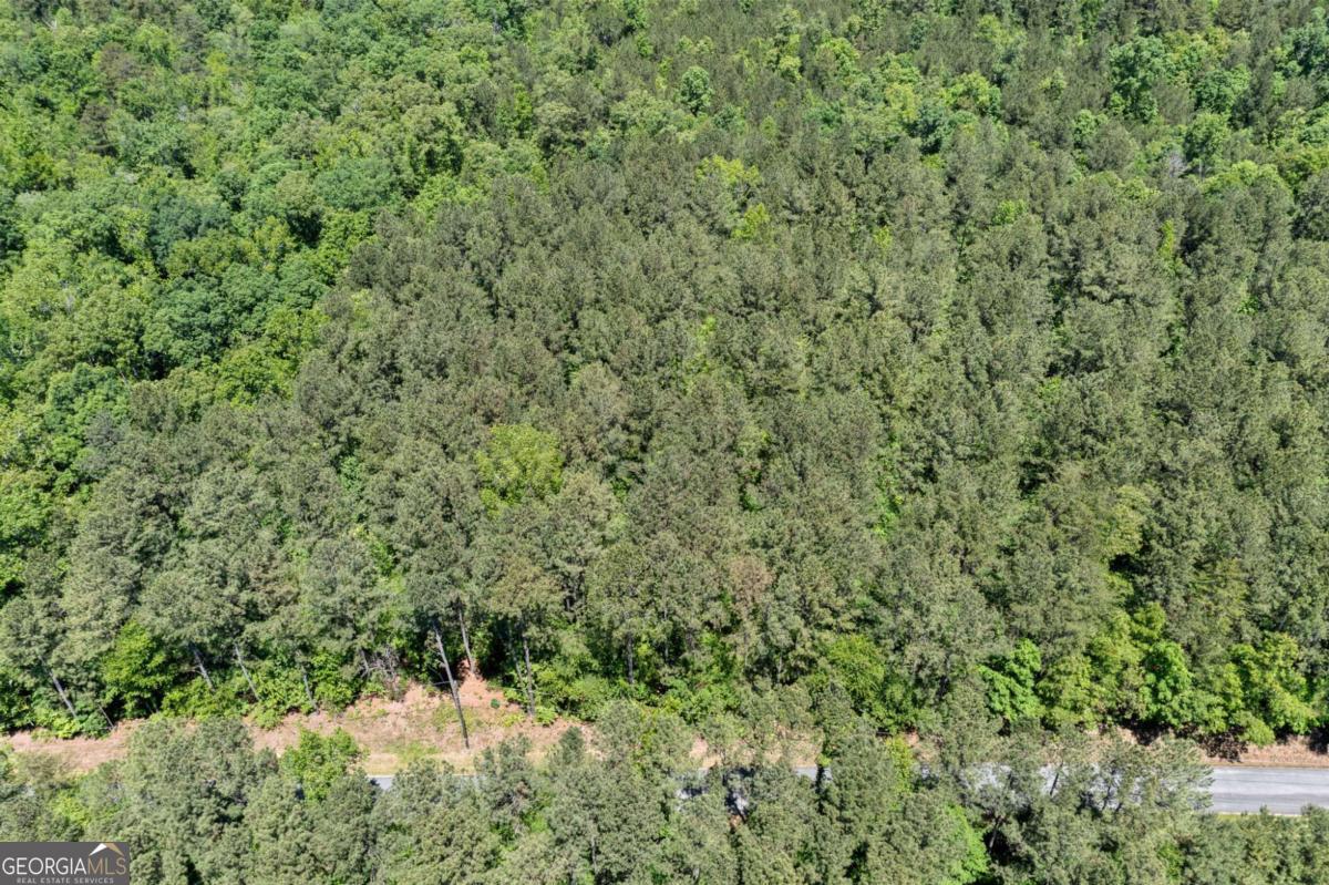 0 Timberwood Road Northwest, Unit 2 White, GA 30184 - Photo 24 of 25 a view of a forest with a toilet