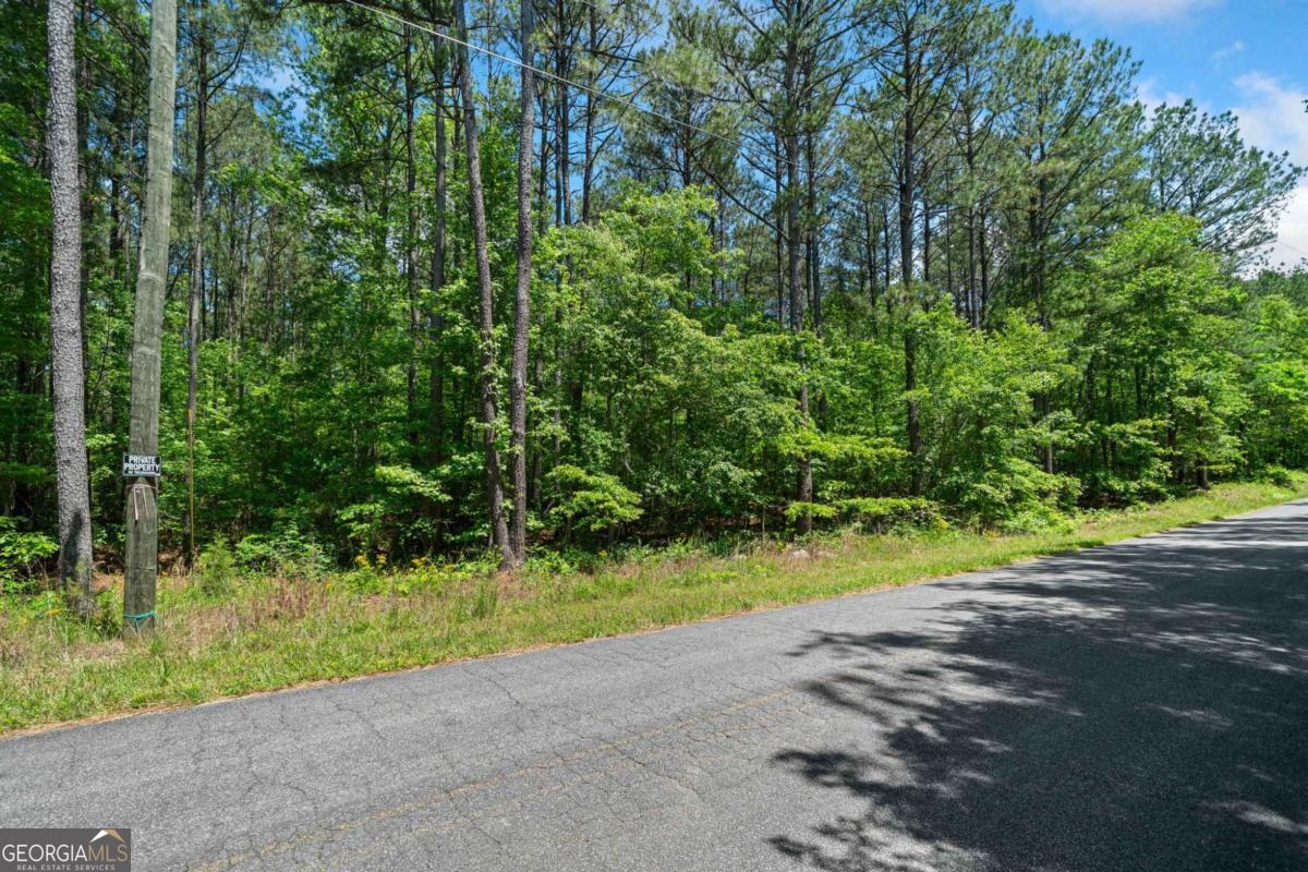 0 Timberwood Road Northwest, Unit 2 White, GA 30184 - Photo 3 of 25 a view of a yard with plants and large trees