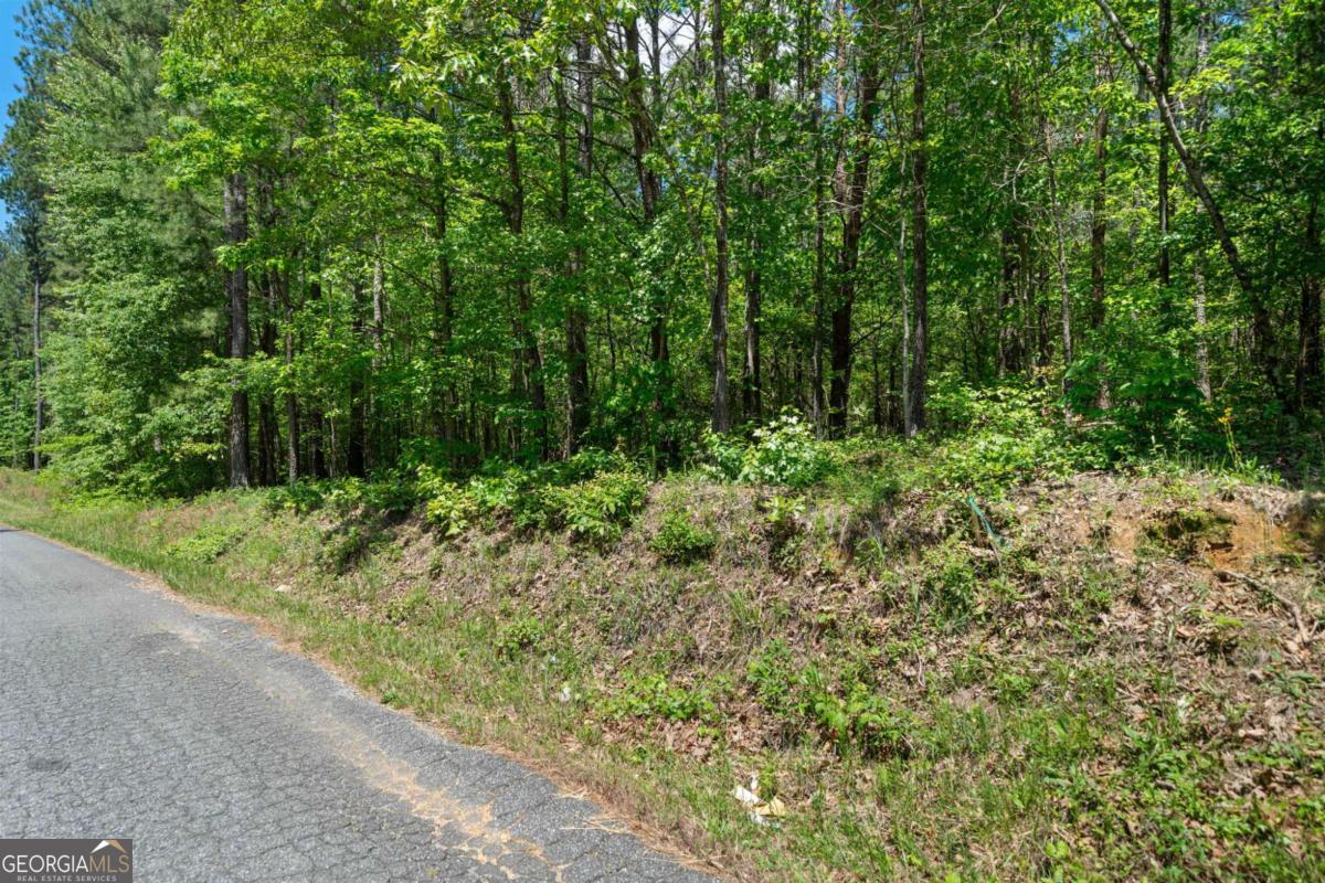 0 Timberwood Road Northwest, Unit 2 White, GA 30184 - Photo 5 of 25 a view of a garden with plants