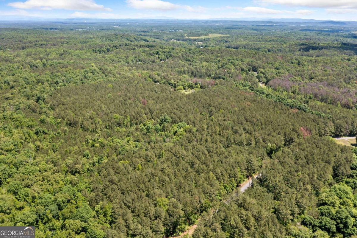 0 Timberwood Road Northwest, Unit 2 White, GA 30184 - Photo 10 of 25 a view of a lush green field