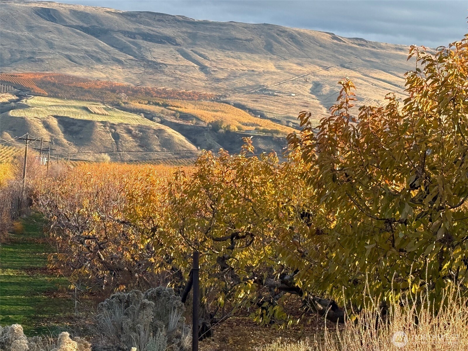 556 Jack Wells Road Bridgeport, WA 98813 - Photo 3 of 13 a view of ocean
