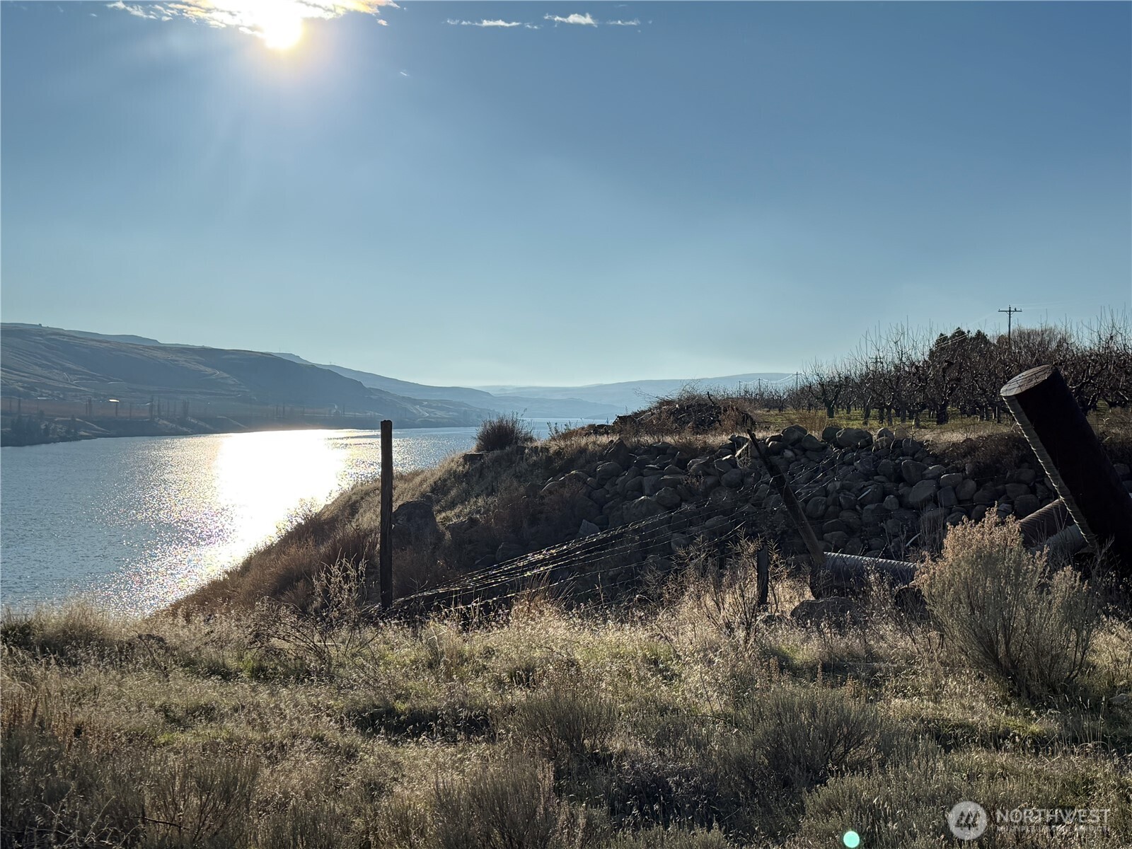 556 Jack Wells Road Bridgeport, WA 98813 - Photo 9 of 13 a view of a yard