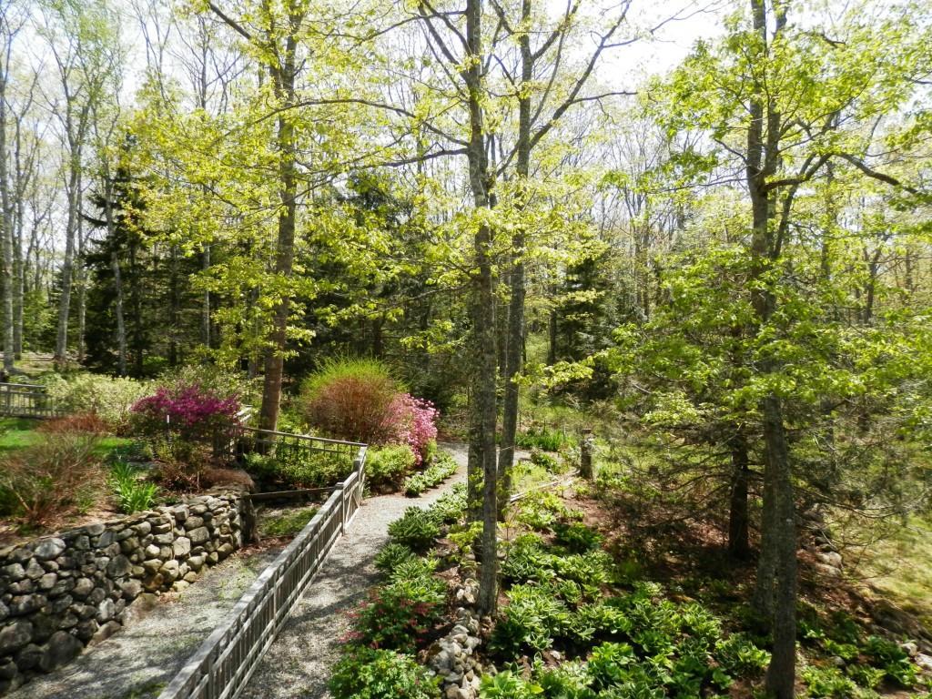 56 Hathorn Point Road Tenants Harbor, ME 04860 - Photo 3 of 34 Hosta beds and more...