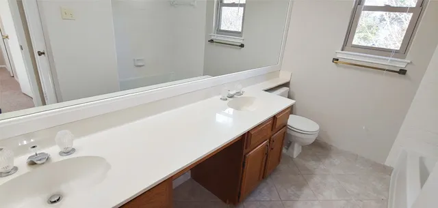 a bathroom with a sink and a toilet