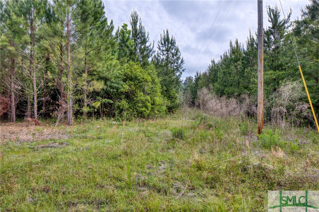 2267 Bennett Grooms Road Brooklet, GA 30415 - Photo 11 of 34 Power lines on the property