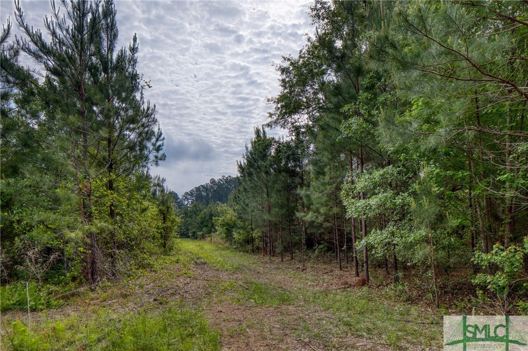 2267 Bennett Grooms Road Brooklet, GA 30415 - Photo 12 of 34 Driveway