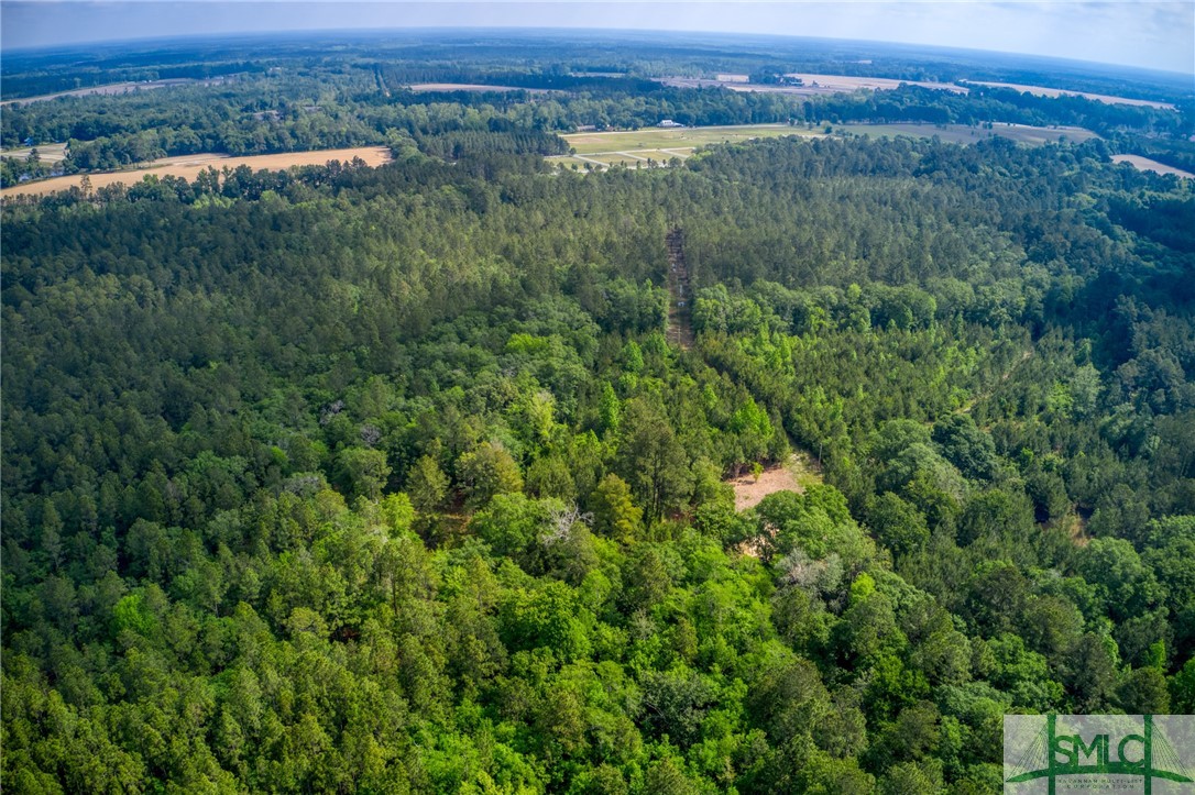 2267 Bennett Grooms Road Brooklet, GA 30415 - Photo 17 of 34 Ariel showing home site from above