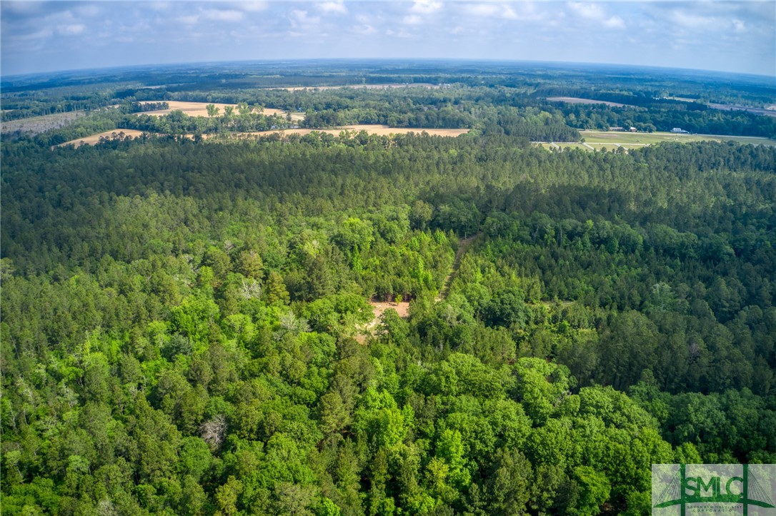 2267 Bennett Grooms Road Brooklet, GA 30415 - Photo 19 of 34 Ariel showing home site from above