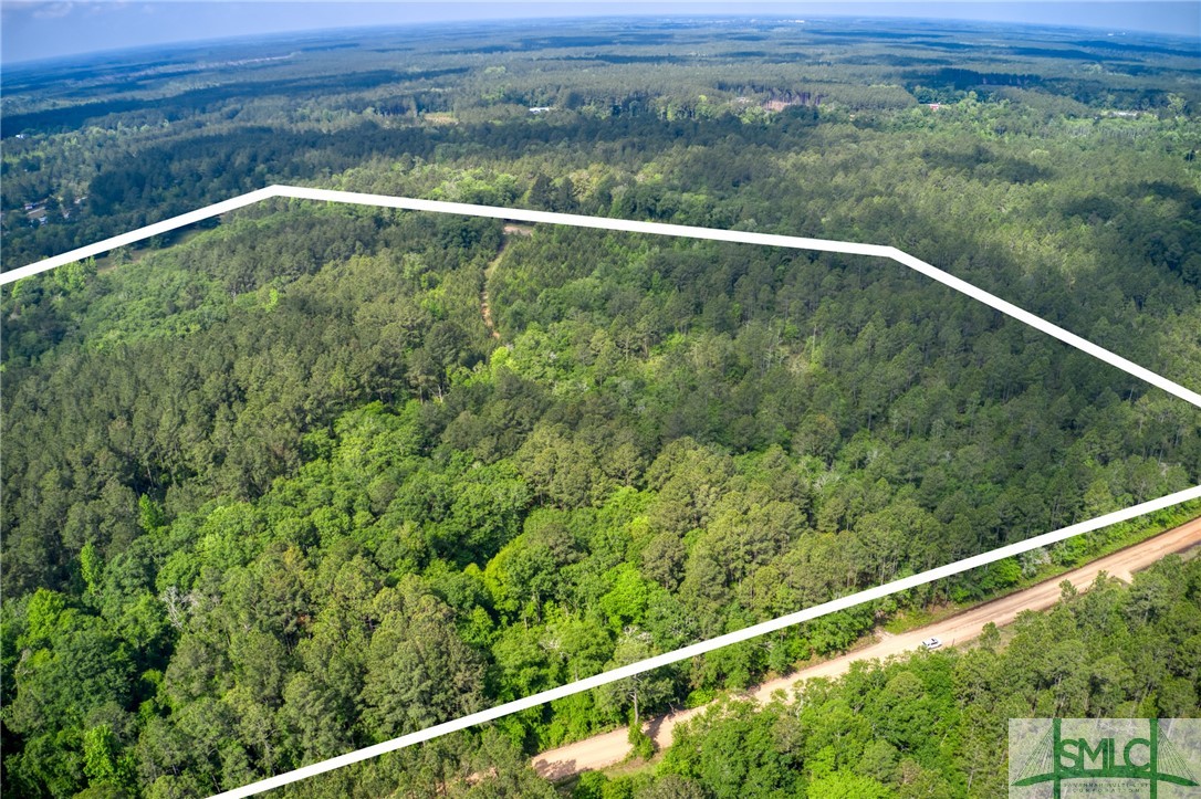2267 Bennett Grooms Road Brooklet, GA 30415 - Photo 25 of 34 **Estimated property lines from above