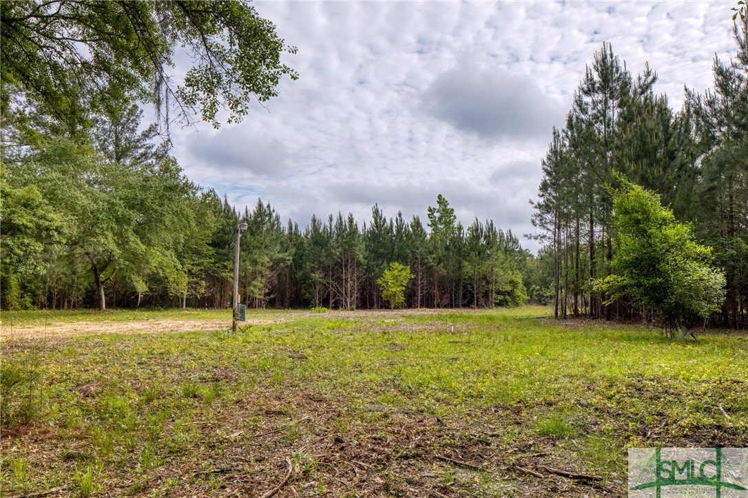 2267 Bennett Grooms Road Brooklet, GA 30415 - Photo 7 of 34 Cleared home site
