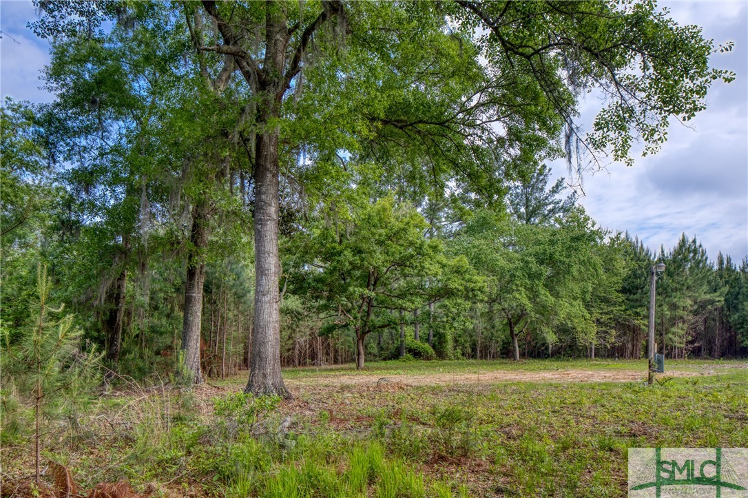 2267 Bennett Grooms Road Brooklet, GA 30415 - Photo 8 of 34 Cleared home site