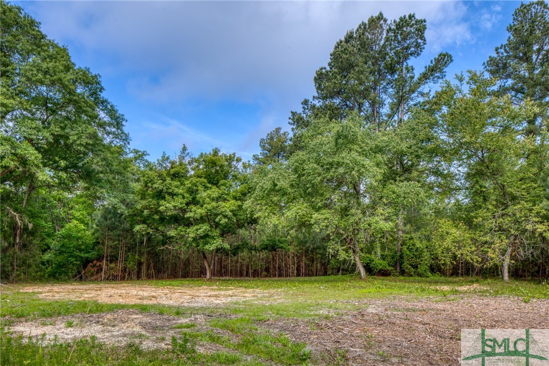 2267 Bennett Grooms Road Brooklet, GA 30415 - Photo 9 of 34 Cleared home site