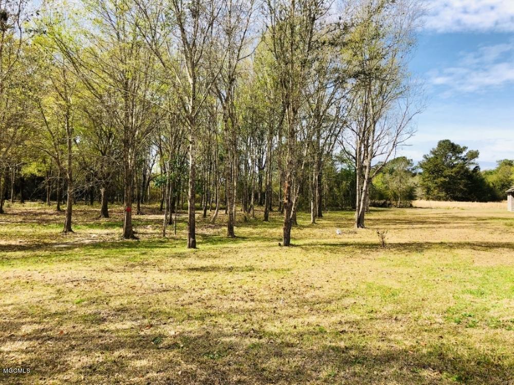 14521 North Swan Road Gulfport, MS 39503 - Photo 11 of 13 IMG_3859