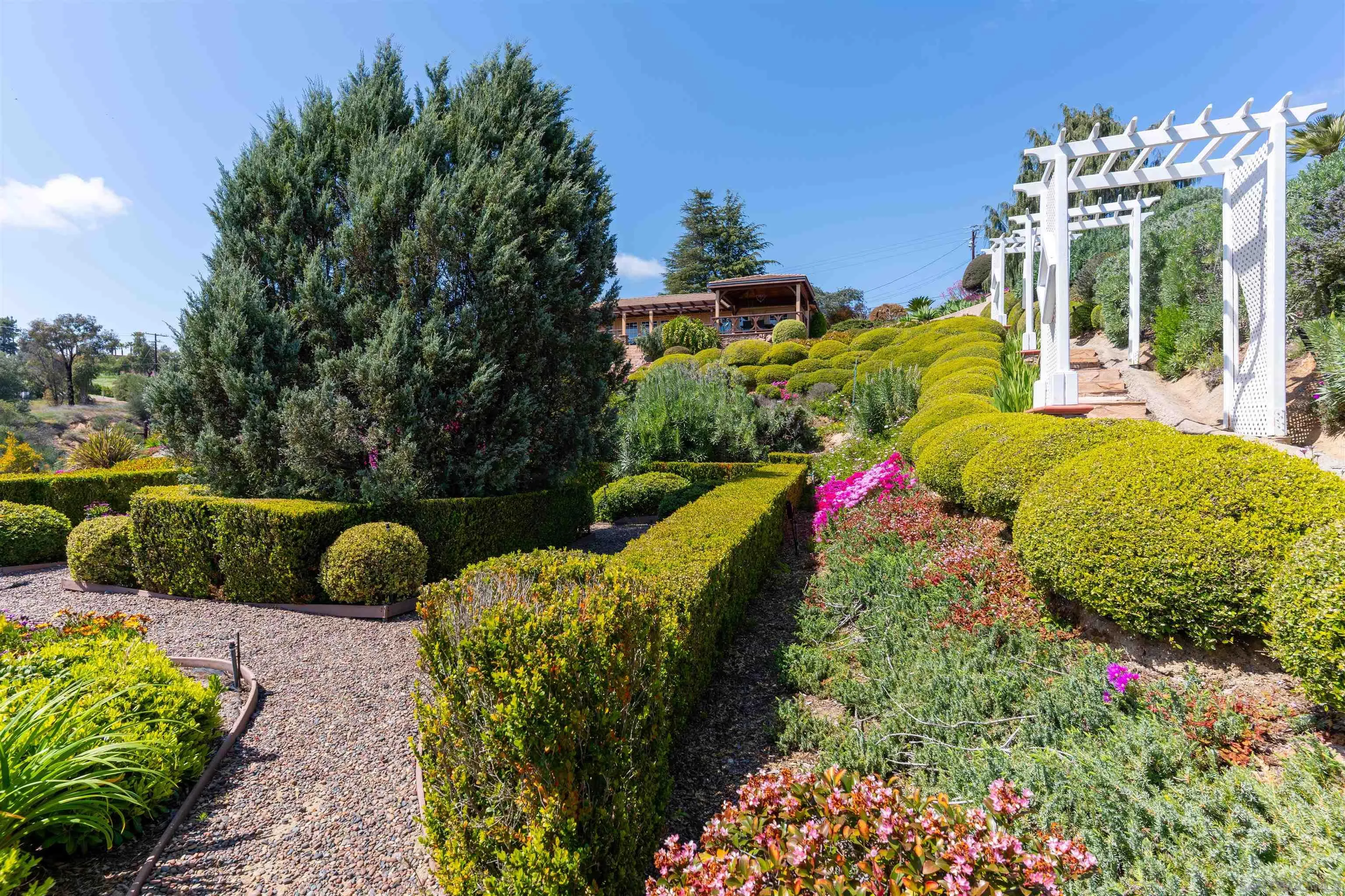 4241 Via El Dorado Fallbrook, CA 92028 - Photo 49 of 64 a view of a garden with plants and large trees