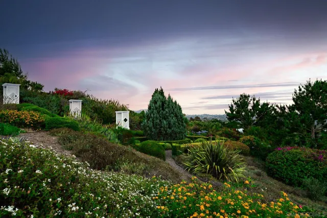 a view of a flower in a garden