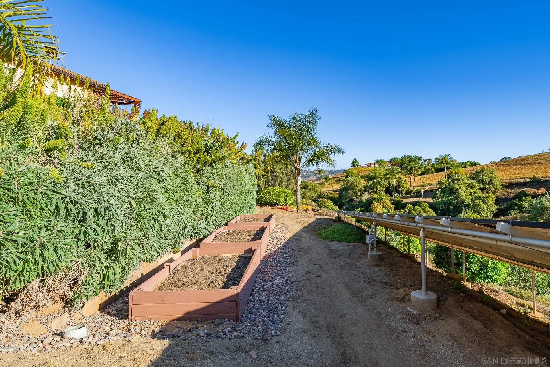 4241 Via El Dorado Fallbrook, CA 92028 - Photo 53 of 64 a view of a yard with plants