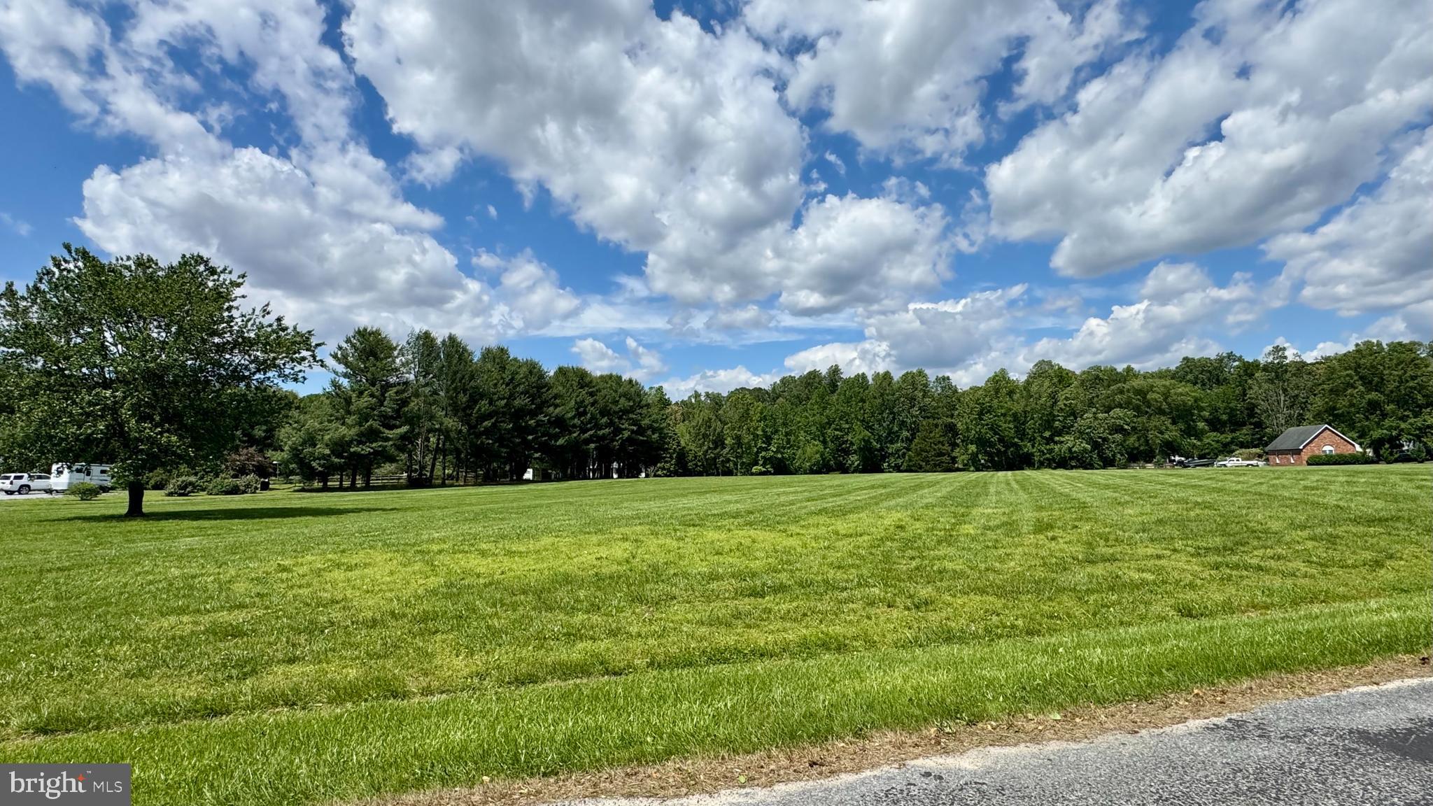 a view of outdoor space with green field and trees
