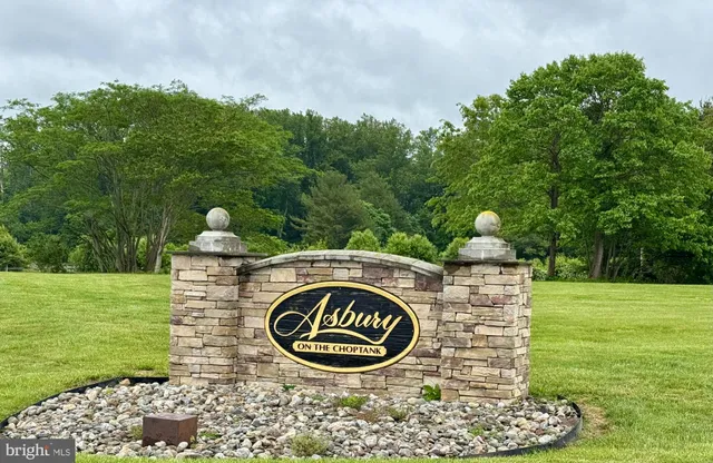 a view of a back yard