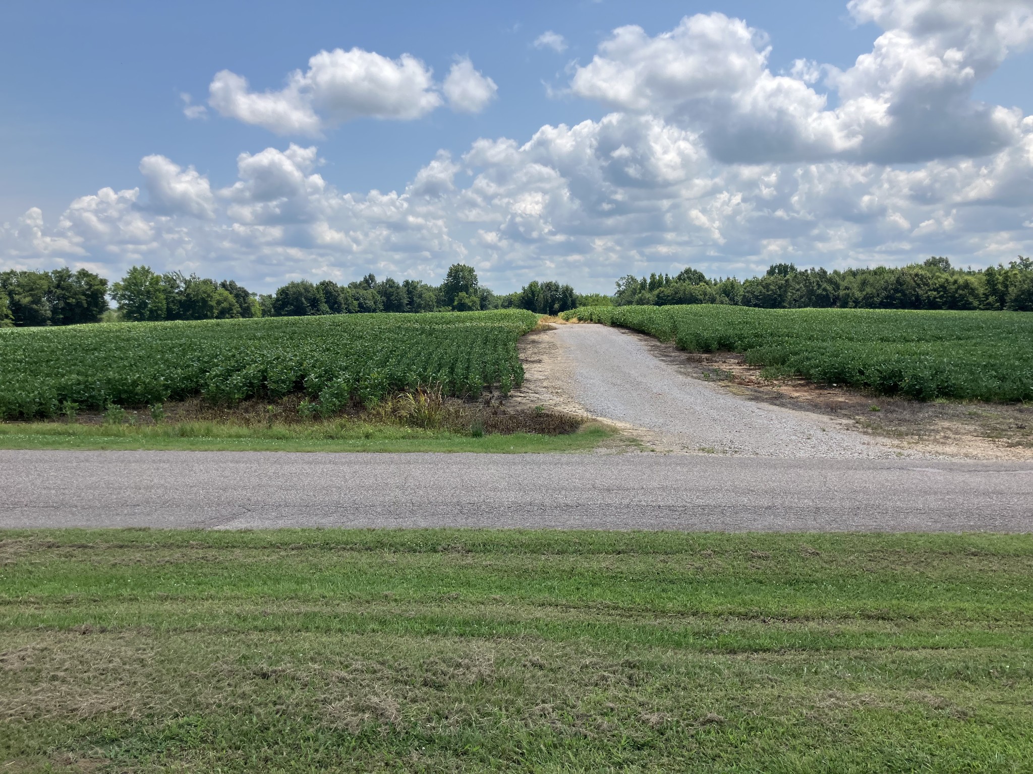2690 Oak Grove Road Savannah, TN 38372 - Photo 3 of 5