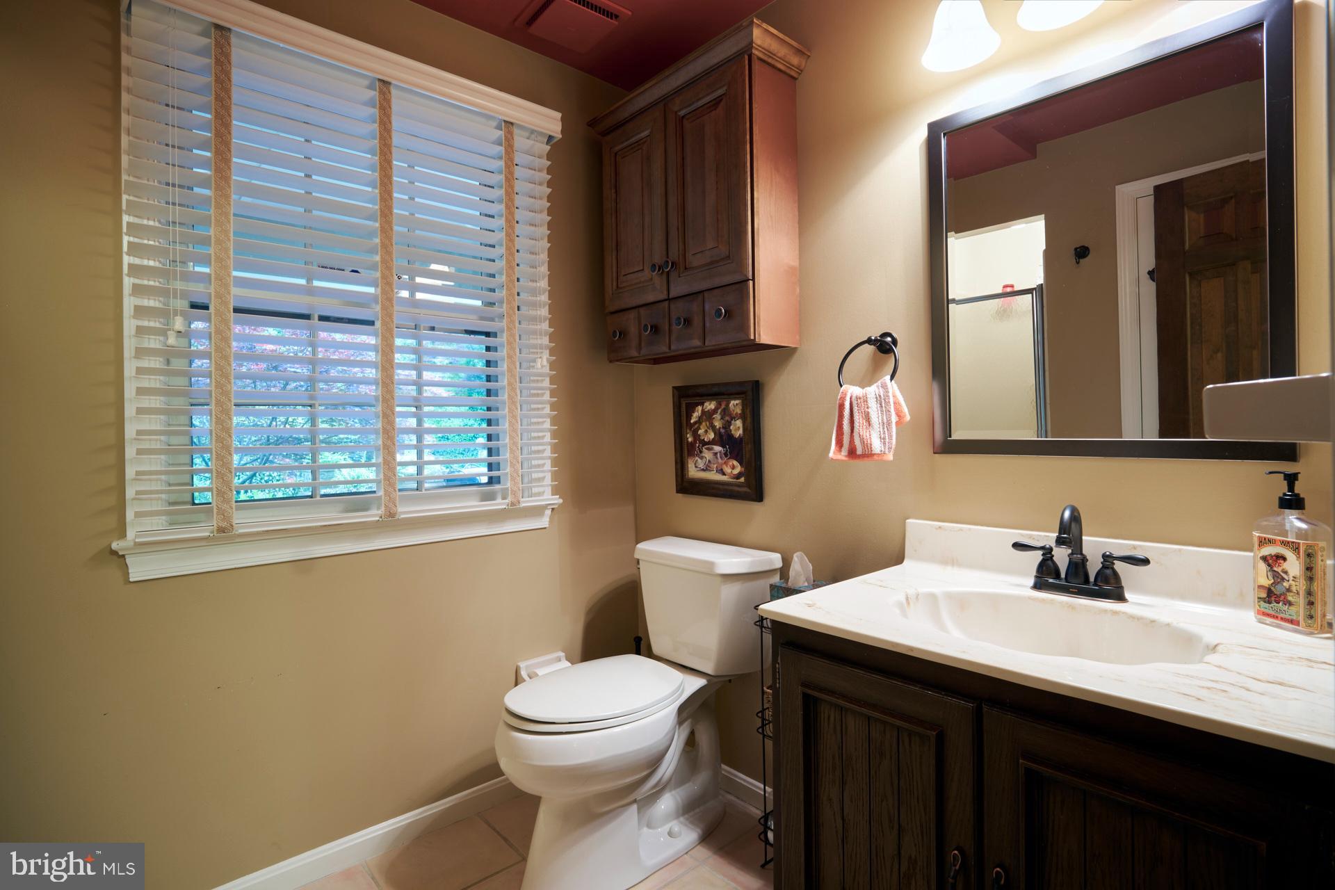 11316 Lapham Drive Oakton, VA 22124 - Photo 77 of 87 Bathroom