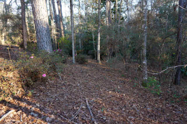 59 General Canby Drive Daphne, AL 36527 - Photo 19 of 19