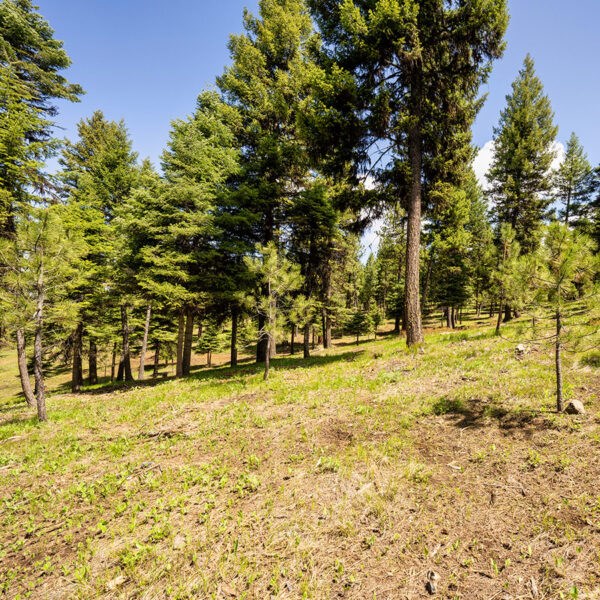 Lot 12 To Be Determined, Unit 12 McCall, ID 83638 - Photo 2 of 2