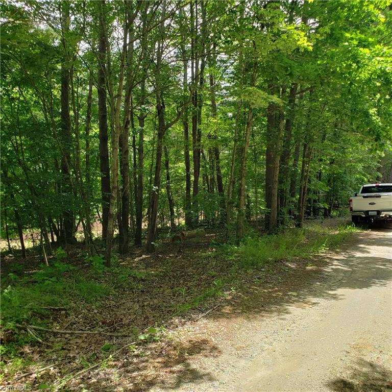 1065 Marshall Ridge Road Pinnacle, NC 27043 - Photo 1 of 4 Gallery Image 1