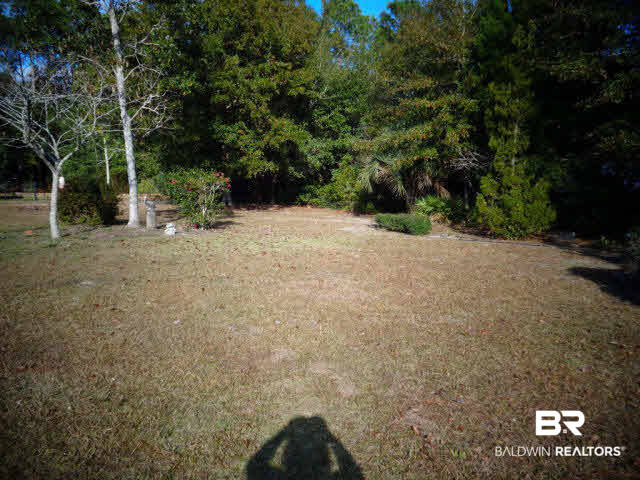 2804 Pine Ridge Drive Lillian, AL 36549 - Photo 36 of 39 Back Yard