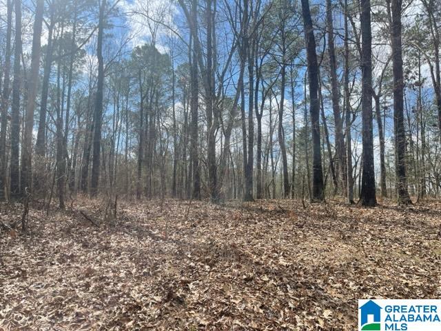 0 Ridgeway Circle, Unit 95 AND 96 Talladega, AL 35160 - Photo 6 of 10