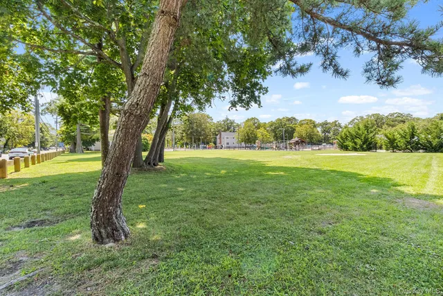 a view of a trees in a yard