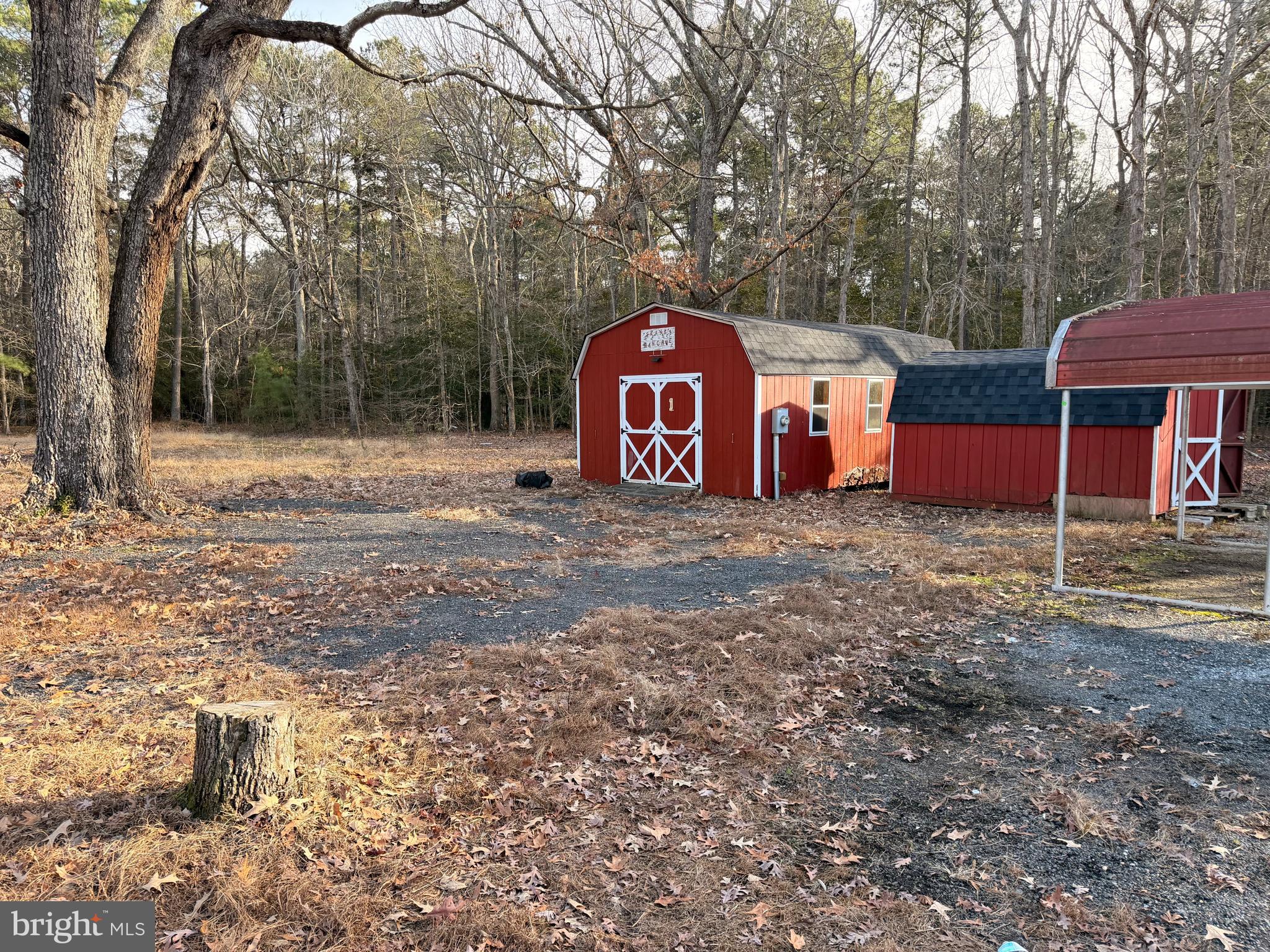 21184 Colton Point Road Avenue, MD 20609 - Photo 19 of 20 a view of a outdoor space with trees