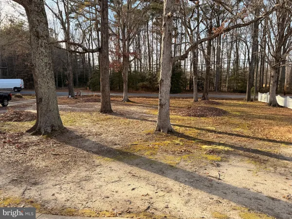 a view of a tree with a yard