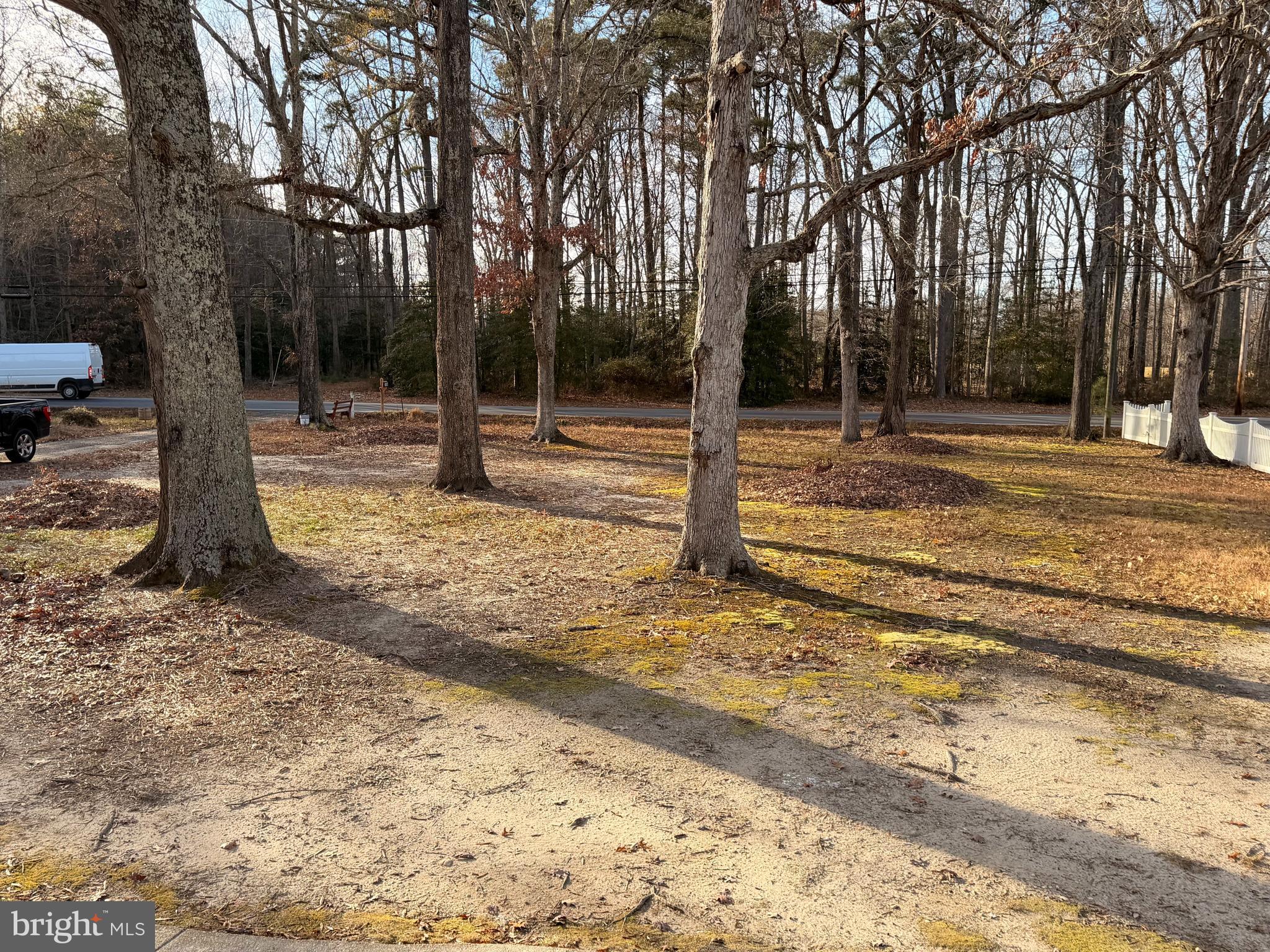 21184 Colton Point Road Avenue, MD 20609 - Photo 20 of 20 a view of a tree with a yard