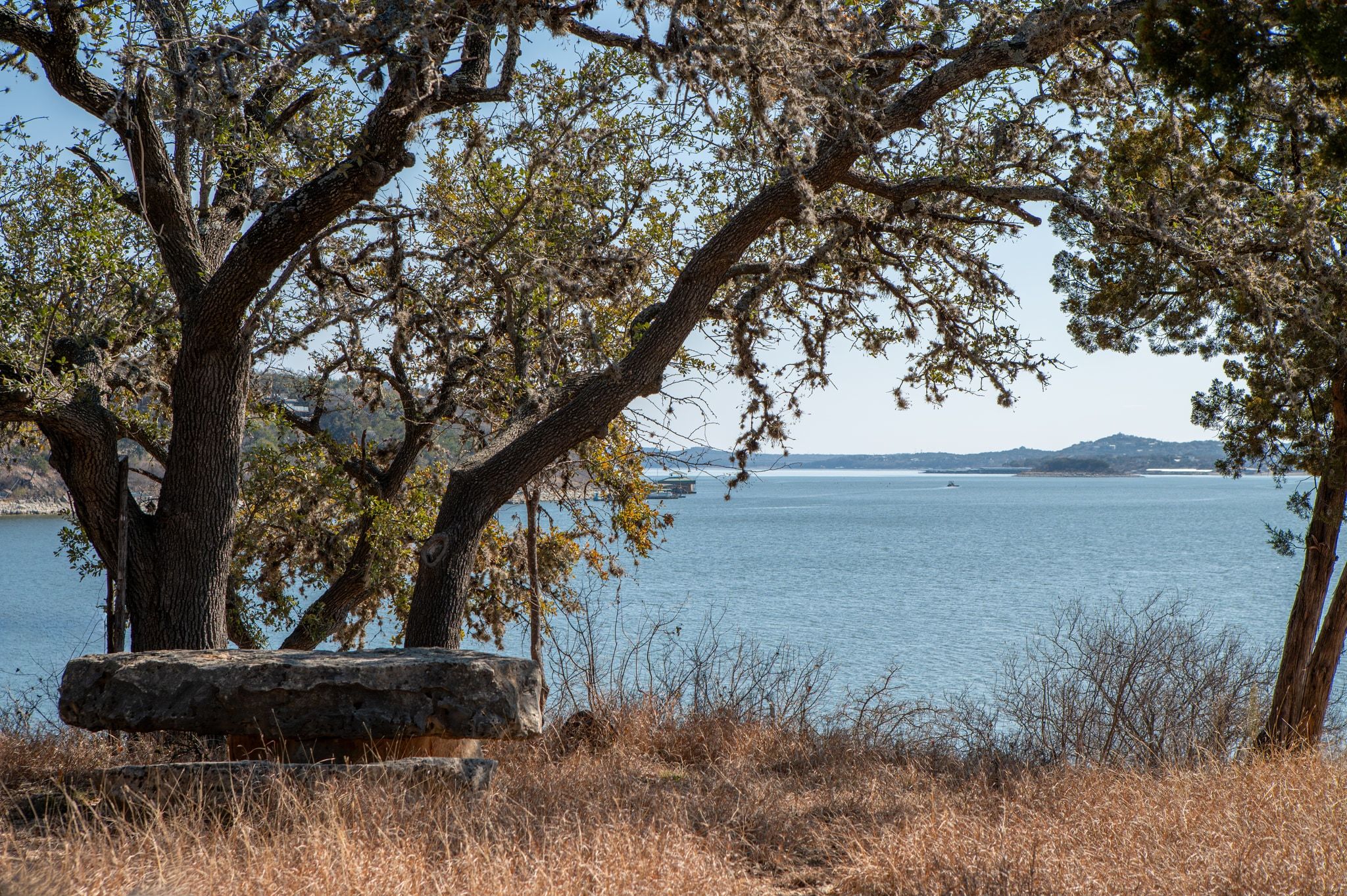 a view of backyard with outdoor space