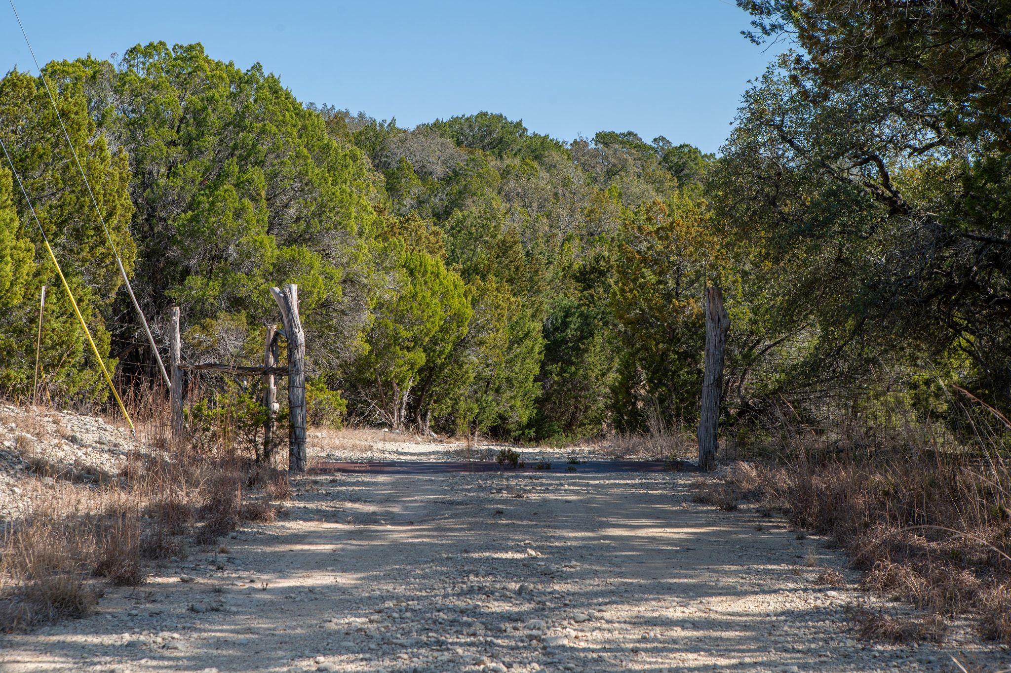 17831 West Reed Park Road Lago Vista, TX 78645 - Photo 18 of 33 a view of a yard with a tree