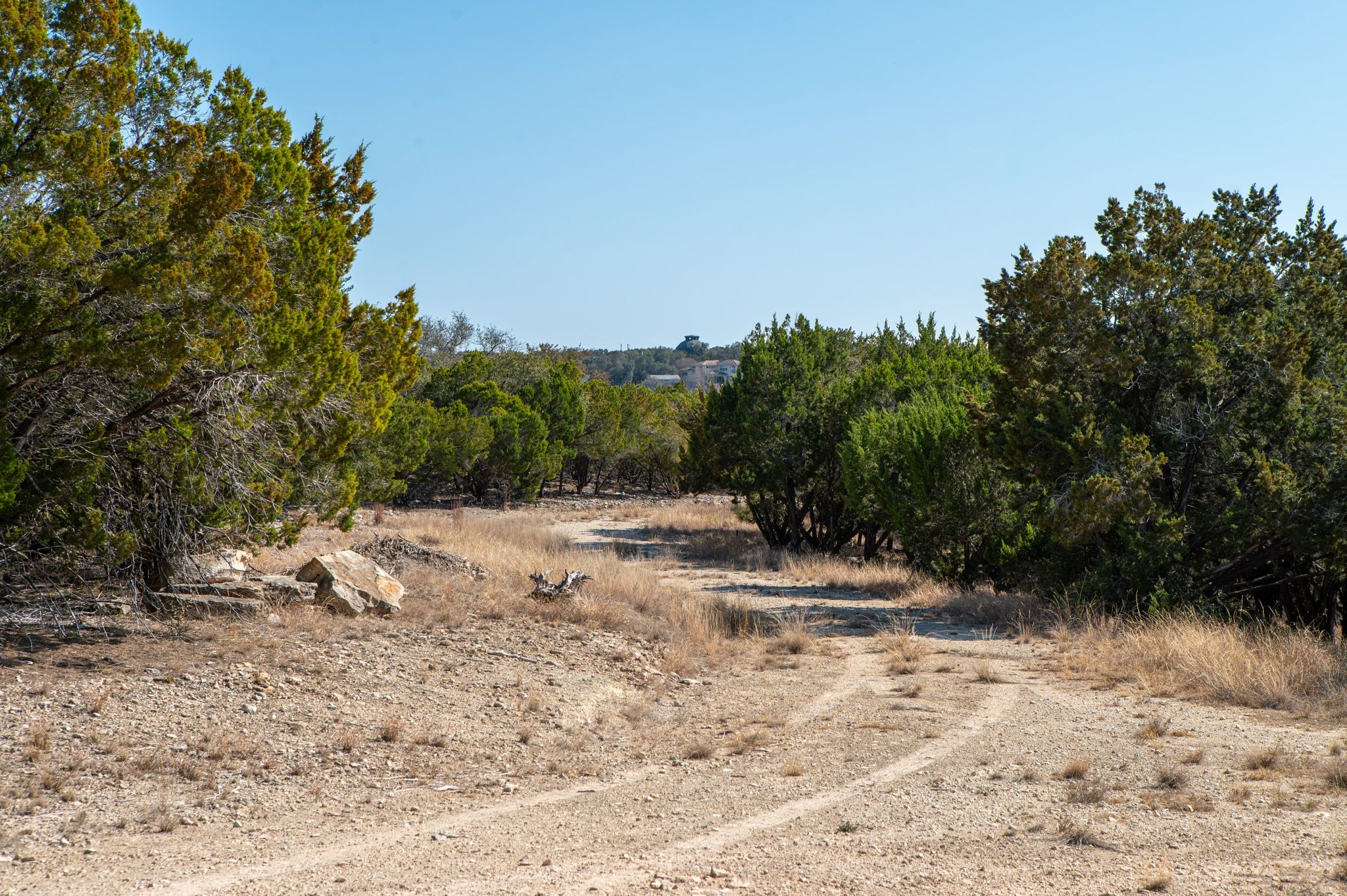 17831 West Reed Park Road Lago Vista, TX 78645 - Photo 20 of 33 a view of dirt yard with a large tree