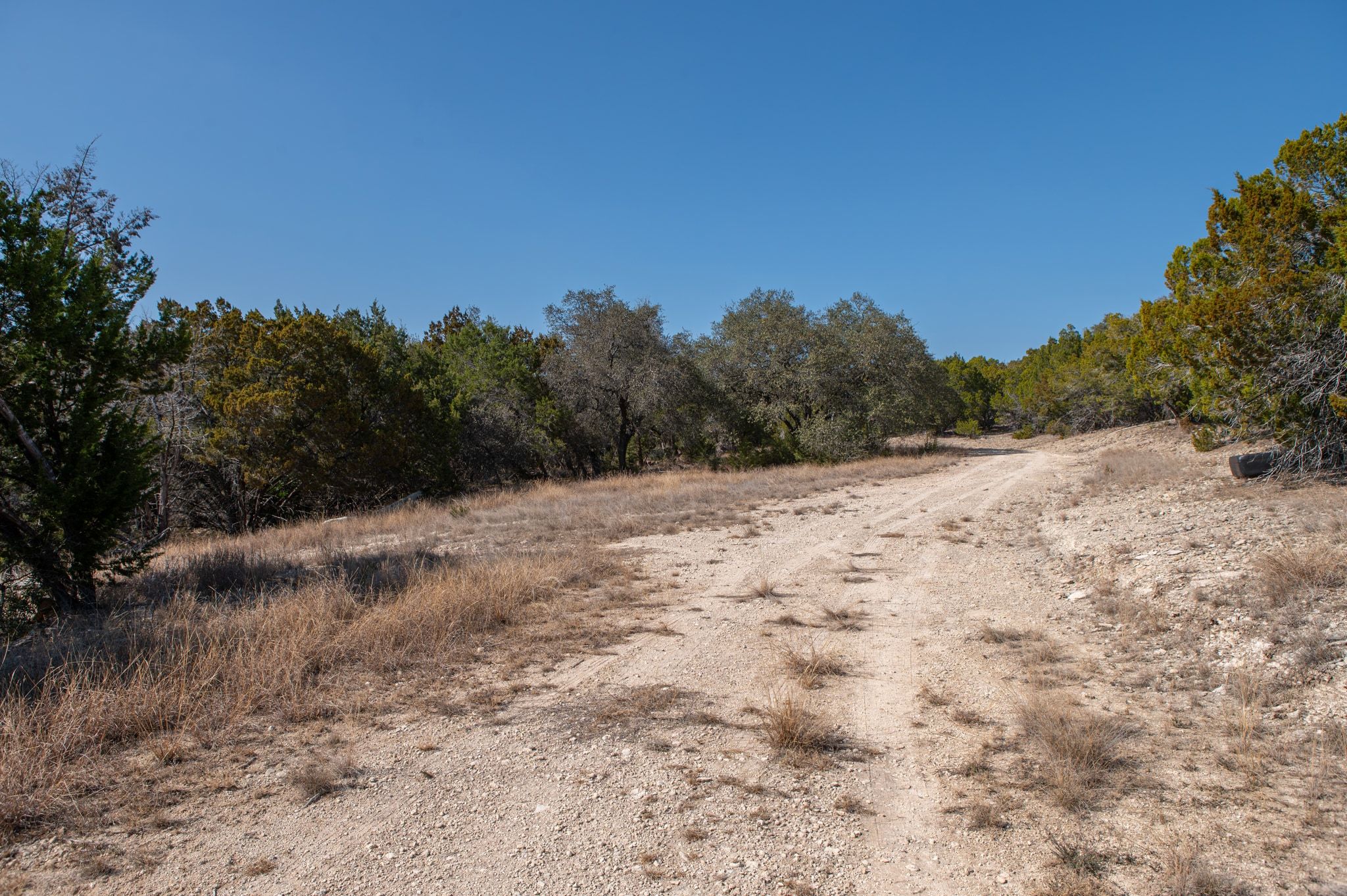 17831 West Reed Park Road Lago Vista, TX 78645 - Photo 21 of 33 a view of a dry yard with trees in the background