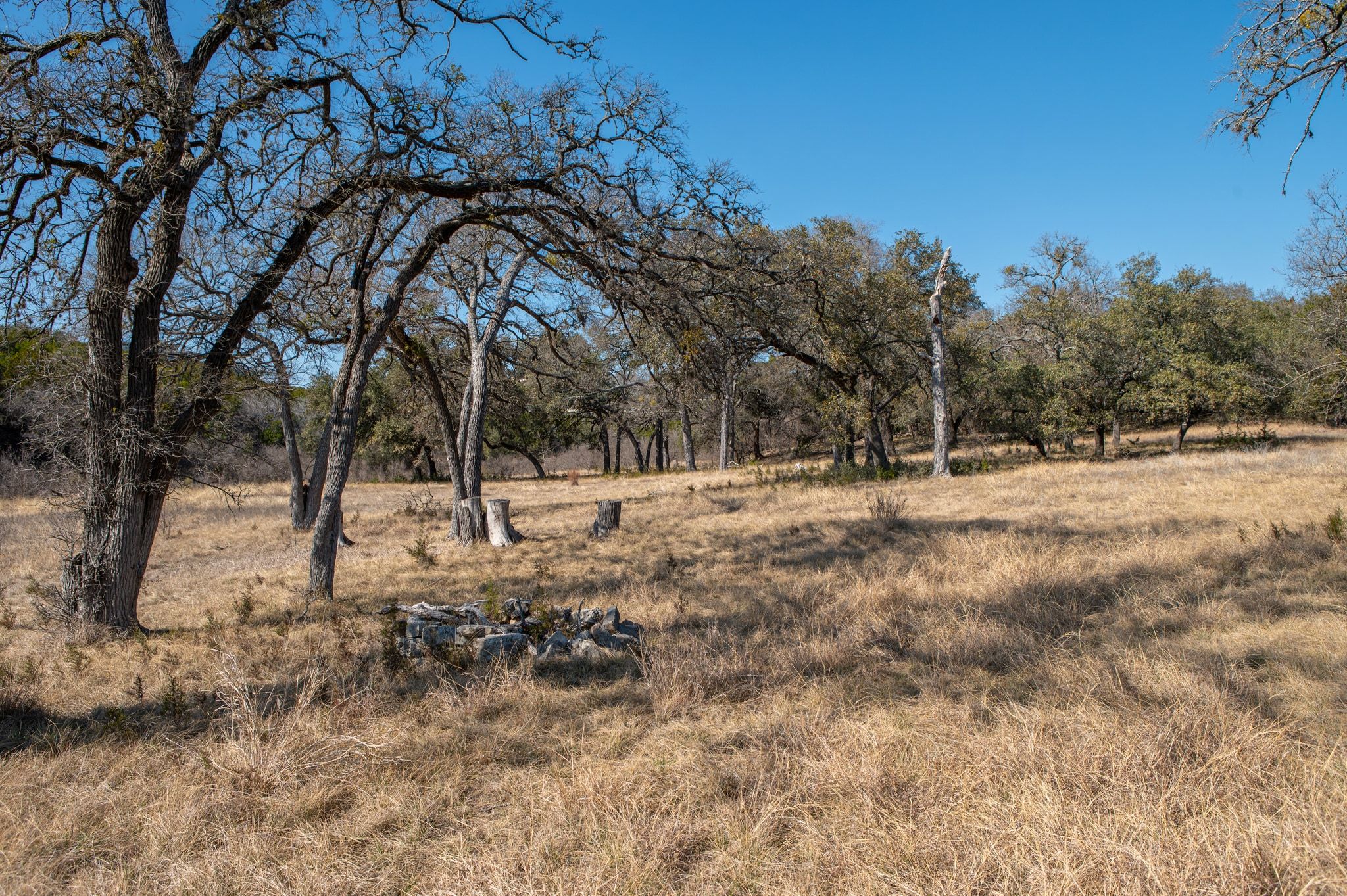 17831 West Reed Park Road Lago Vista, TX 78645 - Photo 23 of 33